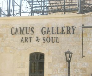 Camus Gallery