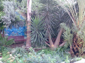 Steven's Garden